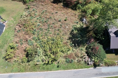 TBD Panorama Dr, Fancy Gap, VA 24328 - photo 4