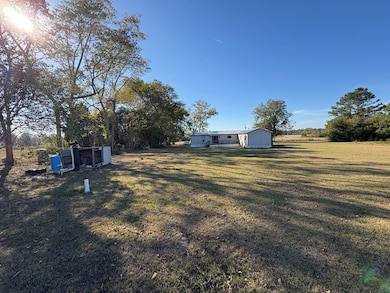 1440 Peach Rd, Morven, GA 31638 - photo 4