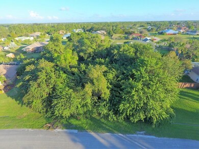 1551038728384_DJI_0006