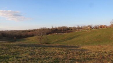 4380 Talmage Mayo Rd, Harrodsburg, KY 40330 - photo 4