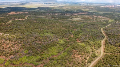 18973 Elk Reserve Rd unit 12, Glade Park, CO 81523 - photo 6