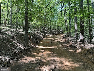 0 Super Deluxe Rd unit 10594088, Rockmart, GA 30153 - photo 2