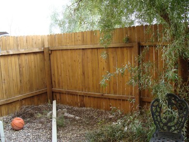 Back yard