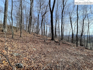 TBD Dr, Crumpler, NC 28617 - photo 7