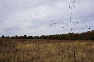 01 Cr 1316, Malakoff, TX 75148 - photo 7