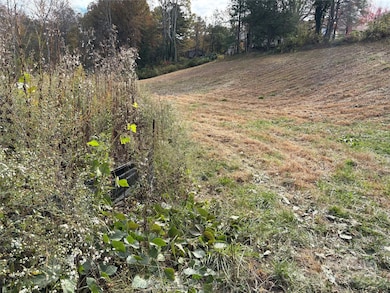 119, 123, 127 Randolph Ave, Black Mountain, NC 28711 - photo 2