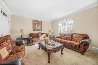 Carpeted living area with ornamental molding and baseboards