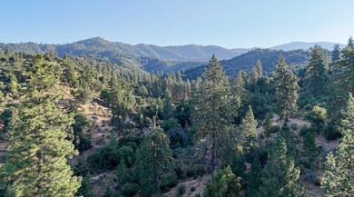 0 Whitaker Forest Rd unit 11556310, Badger, CA 93603 - photo 6