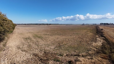 1262 Main St, Knobel, AR 72435 - photo 2