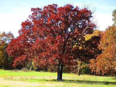 0 W 223rd St, Spring Hill, KS 66083 - photo 6