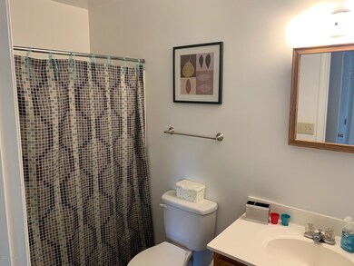Cottontail Main Bath