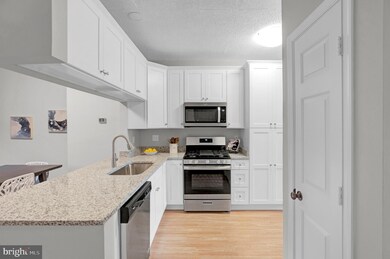 7207 Stover Dr, Alexandria, VA 22306 - photo 5