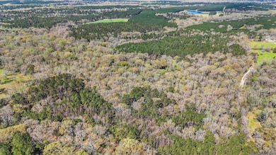 tbd Beechgrove Rd, Clinton, LA 70722 - photo 7