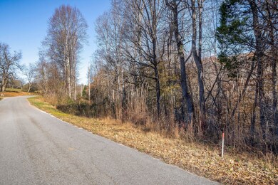 0 Simmons Rd, Sparta, TN 38583 - photo 6