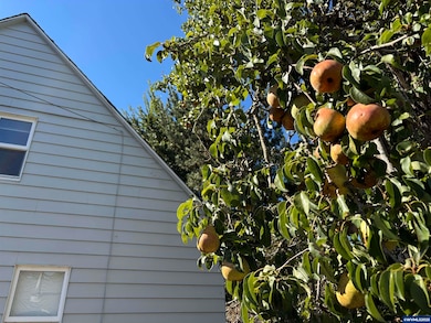 1145 Hood St NE, Salem, OR 97301 - photo 5