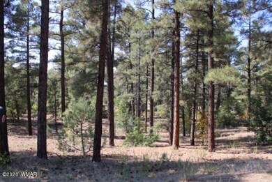 Mature Pines
