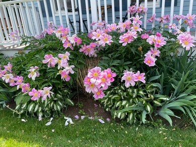 18 Gould St unit 1, Wakefield, MA 01880 - photo 5