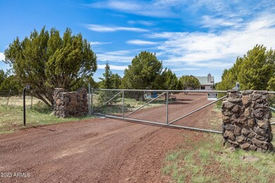 8770 Roundup Dr, Show Low, AZ 85901 - photo 4