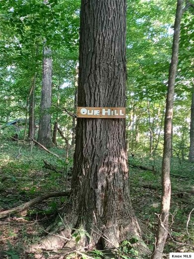 304 Highland Hills Dr, Howard, OH 43028 - photo 3