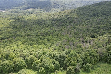 0 Greenbush Rd unit Held - 12 11557762, Erin, NY 14838 - photo 6