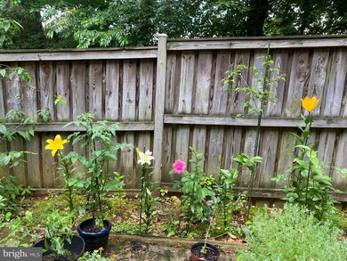 3119 Sutherland Hill Ct, Fairfax, VA 22031 - photo 7