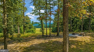 0 John Mosby Hwy unit VACL2001354, Boyce, VA 22620 - photo 3