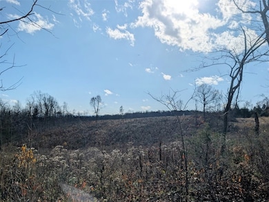 0 Nc 2900 unit 1329337, Marble Falls, AR 72648 - photo 6