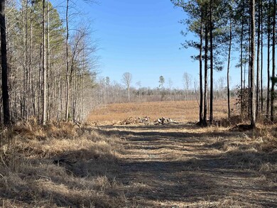 327 Adolph Taylor Rd, Pittsboro, NC 27312 - photo 6