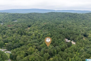 0 Penny Ln unit 21427542, Odenville, AL 35120 - photo 4