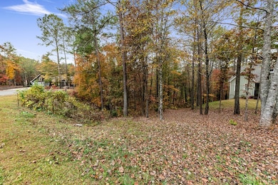 LOT 67 Bridge Rd, Ellijay, GA 30540 - photo 4