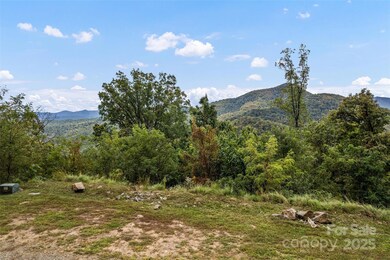 1505 Summit View Dr unit 20, Canton, NC 28716 - photo 2
