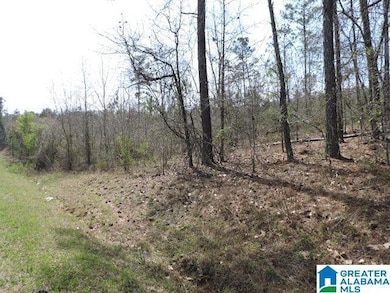 0 County Road 329 unit 21380236, Wedowee, AL 36278 - photo 3
