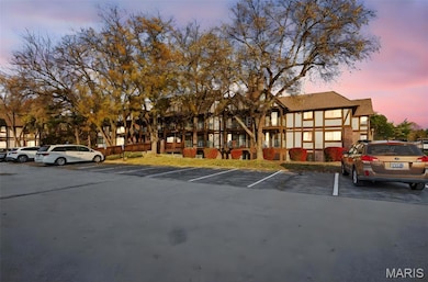 1430 Heritage Landing unit 201, Saint Charles, MO 63303 - photo 6