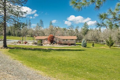 130 Carrollwood Dr Listing Pics - 23 of