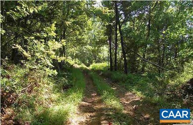 1 Brokenback Mountain Rd, Free Union, VA 22940 - photo 6