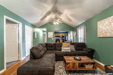 703 Omaha Ave, Lincoln, IL 62656 - photo 3