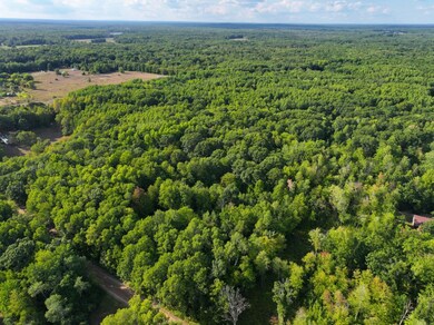 4314 Adams Rd, Lake, MI 48632 - photo 4