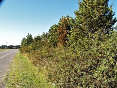 View of the trees lining front of lot on E. Anderson Rd.