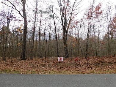 5 (P9) Brights Rd, Gretna, VA 24557 - photo 2