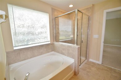 16014 Persimmon Grove Dr, Lithia, FL 33547 - photo 7