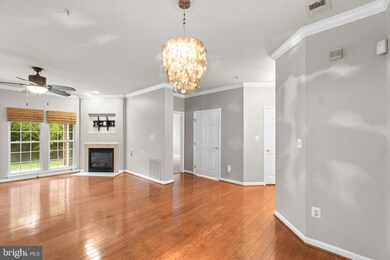 7230 Darby Downs unit B, Elkridge, MD 21075 - photo 4