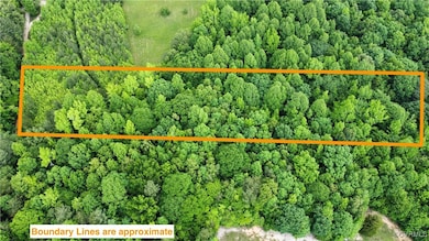 View of drone / aerial view