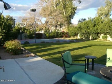 Back yard