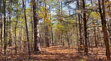 Lot 29 Shiloh Landing Pointe, Greers Ferry, AR 72067 - photo 3