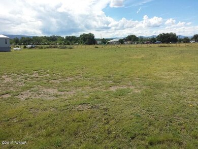 Lot 16 Hillcrest Subsivision, Springerville, AZ 85938 - photo 4