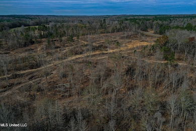 001 Alva Rd, Tomnolen, MS 39744 - photo 4