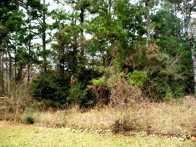 26652 Joseph, Hockley, TX 77447 - photo 4