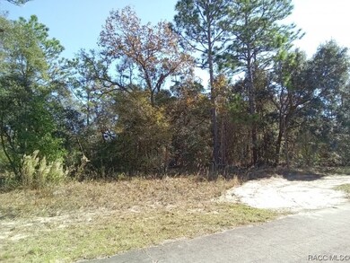 8833 N Spartan Dr, Citrus Springs, FL 34433 - photo 3