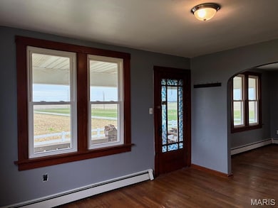 371 Frey Meadows Rd, Pocahontas, IL 62275 - photo 3