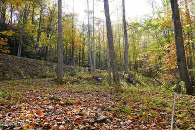 PAR 033.01 S Highway 32, Cosby, TN 37722 - photo 4